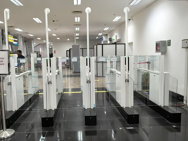 NRI e-Gate registration now open at Indian airports