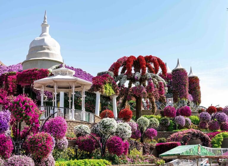 Dubai Miracle Garden offers Free Entry to UAE Residents